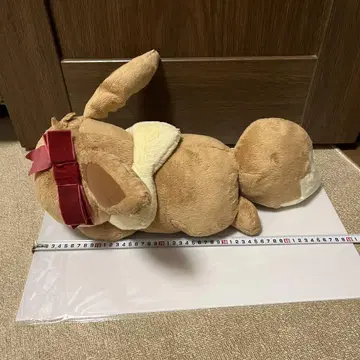 포켓몬 이브이 봉제 인형