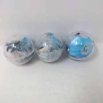 카프리움 컬렉션 해양 생물 3개 세트