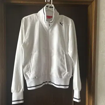 푸마 puma