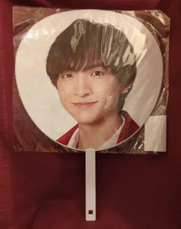 소년 닌자 24년 The Shining Star 카와사키 코키 부채