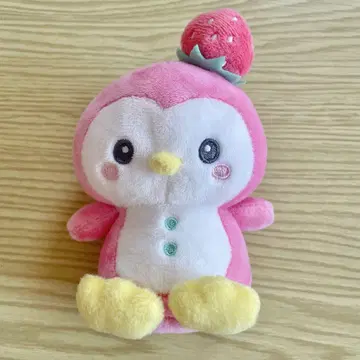 제오참 JOCHUM 포포