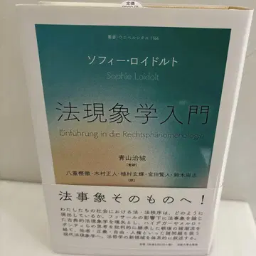 법현상학 입문