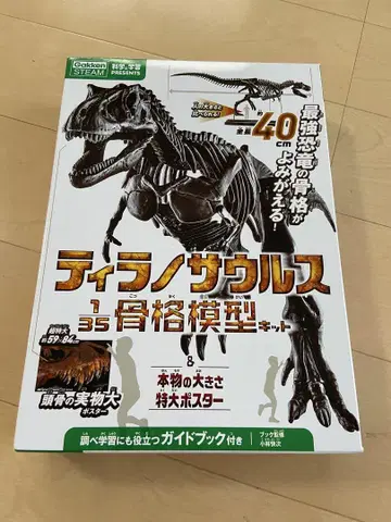 티라노사우루스 골격 모형 키트 약 40cm