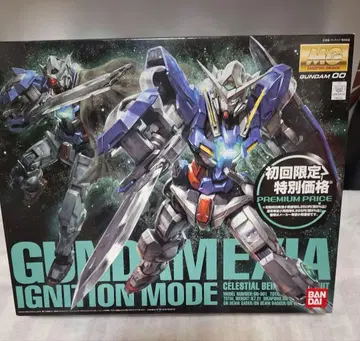 MG 건담 엑시아 한정 가격 1/100