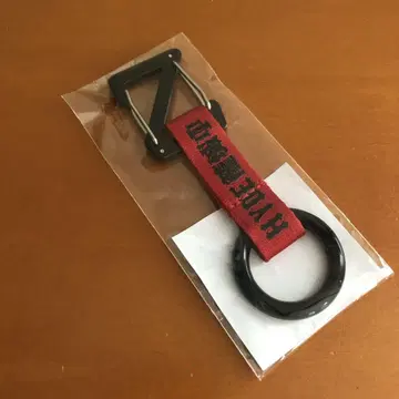 HYDE Zepp 카라비너