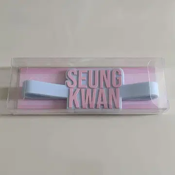 SEVENTEEN 성광 응원봉 액세서리