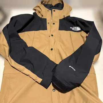 노스페이스 GORE-TEX 마운틴 후드티