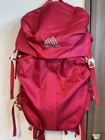그레고리 레드 백팩 38L