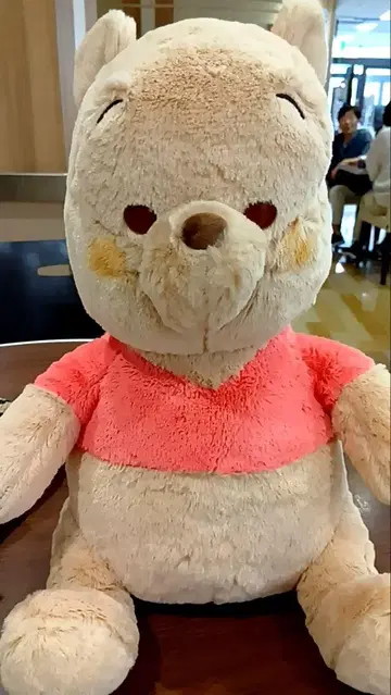 일광화상 입은 곰돌이 푸 봉제 인형 약 35cm