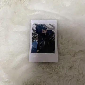 CR 크레이지라쿤 셀피 카드 바닐라