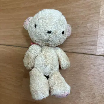몬스이유 꽃무늬 베어 곰돌이 애니멀 MONSEUIL 테디베어