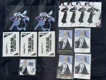 BLEACH 야마모토 모토야나기 시게쿠니