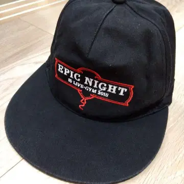 B'z LIVE-GYM2015 EPIC NIGHT 캡