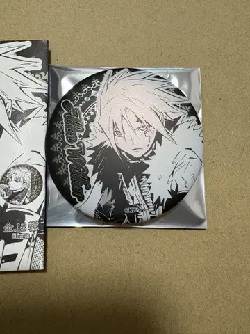 D.Gray-man 디 그레이맨 D 그레이 호시노 케이 원화전 아렌