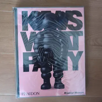 kaws what party BLACK on pink 블랙 핑크