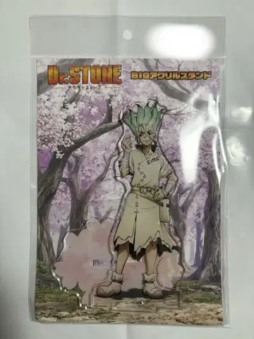 dr.stone 이시가미 치쿠루 아크릴 스탠드 벚꽃