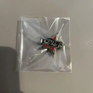 YAZAWA 로고 핀즈