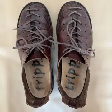 트리픈 골프 브라운 약 24.5cm