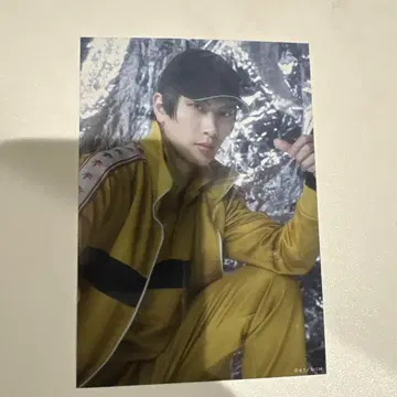 사나다 겐이치로 하야카와 다이야 리카이 란브로 테니미 유 전빙