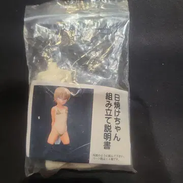 일광화상 레진 키트 미페인팅 미조립