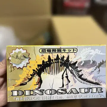 Dinosaur 발굴 키트