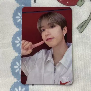 straykids maxident 2주차 스키즈 한 사노쿠 트레이딩 카드