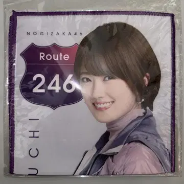 노기자카46 히구치 히나 핸드 타월 Route246