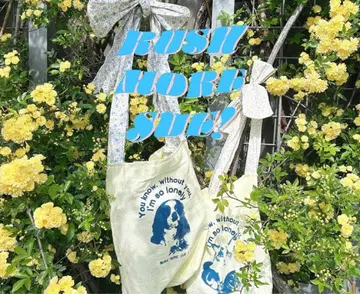 rush more sue 숄더백