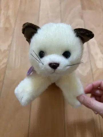 JOYFUL MATES TAKENOKO 고양이 봉제 인형