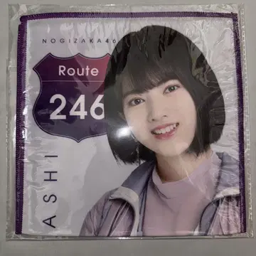 노기자카46 하야시 루나 핸드 타월 Route246