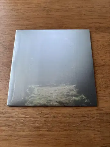 VENUS PENGUIN / 사사쿠보 신 CD 미개봉