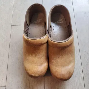 단스코 프로페셔널 베이지 38