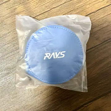RAYS 코인 케이스