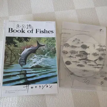 사카낙션 Book of Fishes 물고기 도감 CD 2장 세트