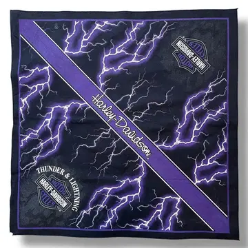 레어 Harley Davidson Thunder Bandana