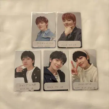 straykids Thesound 공연장 혜택 트레이딩 카드 세트 아이엔