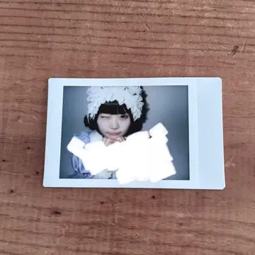 무지개 깃털에 폴라로이드 수국 의상 레어 윙크