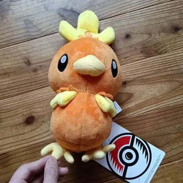 포켓몬 모코로 봉제 인형 약 20cm