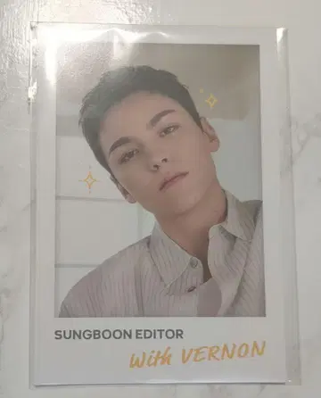 세븐틴 성분 편집기 VERNON