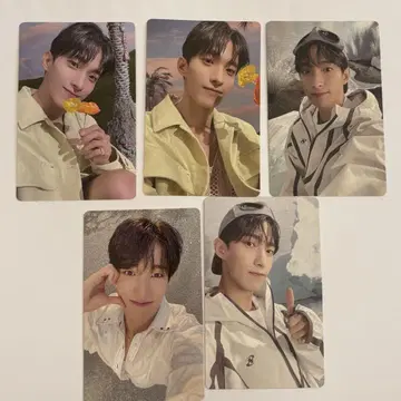 SEVENTEEN sector17 도겸
