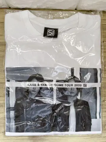 거북이와 산 P 티셔츠