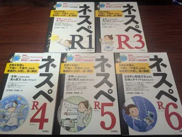 네스페 시리즈 R1-R6, 25-30 + 네스페의 기본 성능