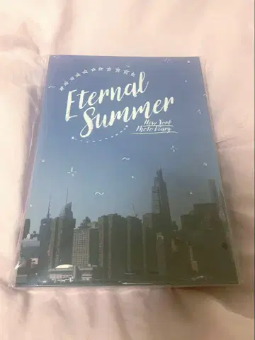 영원한 여름 뉴욕 사진 일기