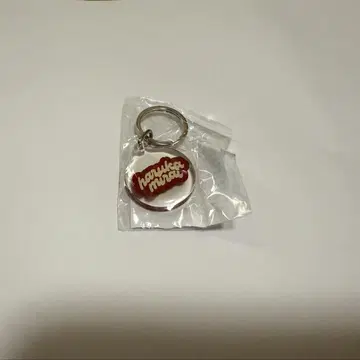 하루카미라이 키링