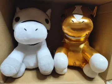 노던 호스 파크 한정 화이트 골드 아이돌 호스 2개 세트