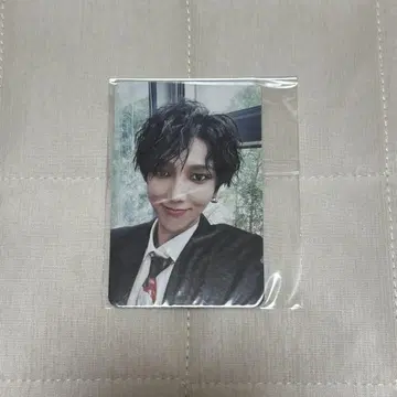 예서 트레이딩 카드