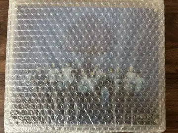 진격의 거인 레이어드 그래프