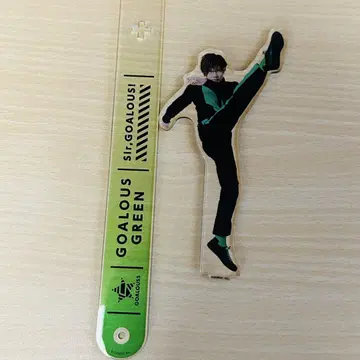 고라스 사진 스틱 그린