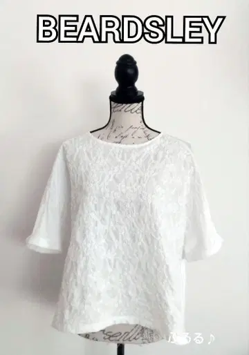 BEARDSLEY 프론트 레이스 탑
