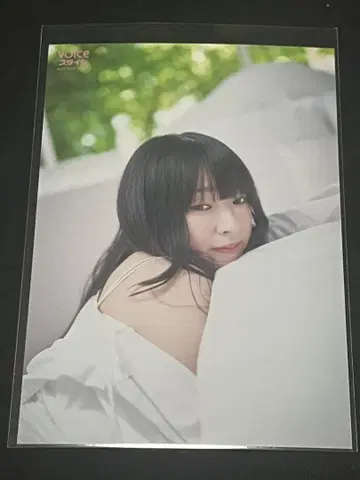 voice 스타일 vol.02 스가 카즈와 브로마이드 산세이도 치바